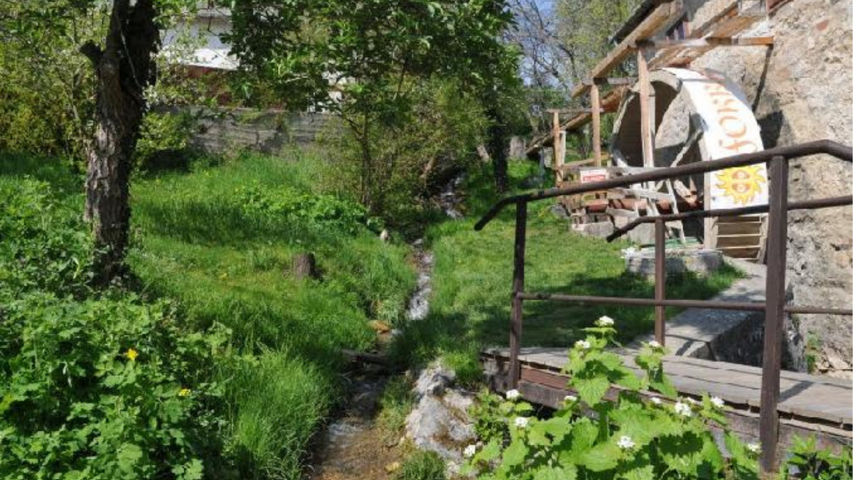 Csopaki Malom-túra a Balaton-felvidék erdei útvonalai között Forrás: guideathand.com