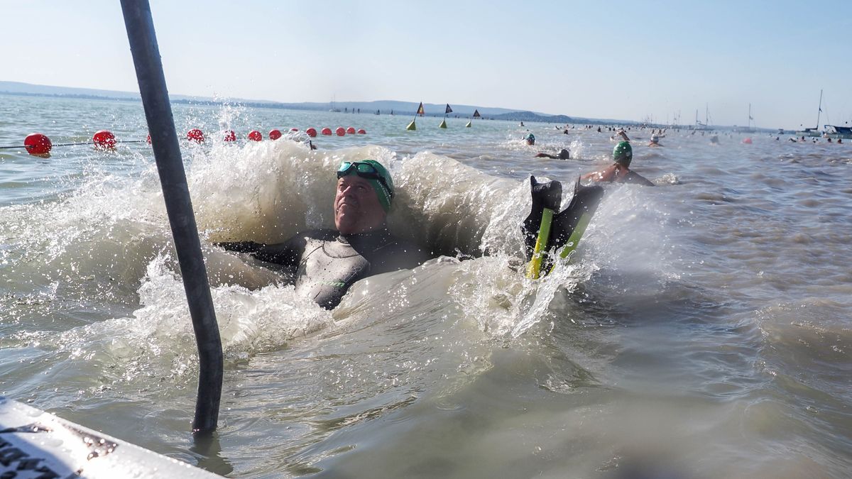 5+1 érdekesség a Balaton-átúszásról: a balatoni cápa rekordja, űrhajós a vízben, úszóháború