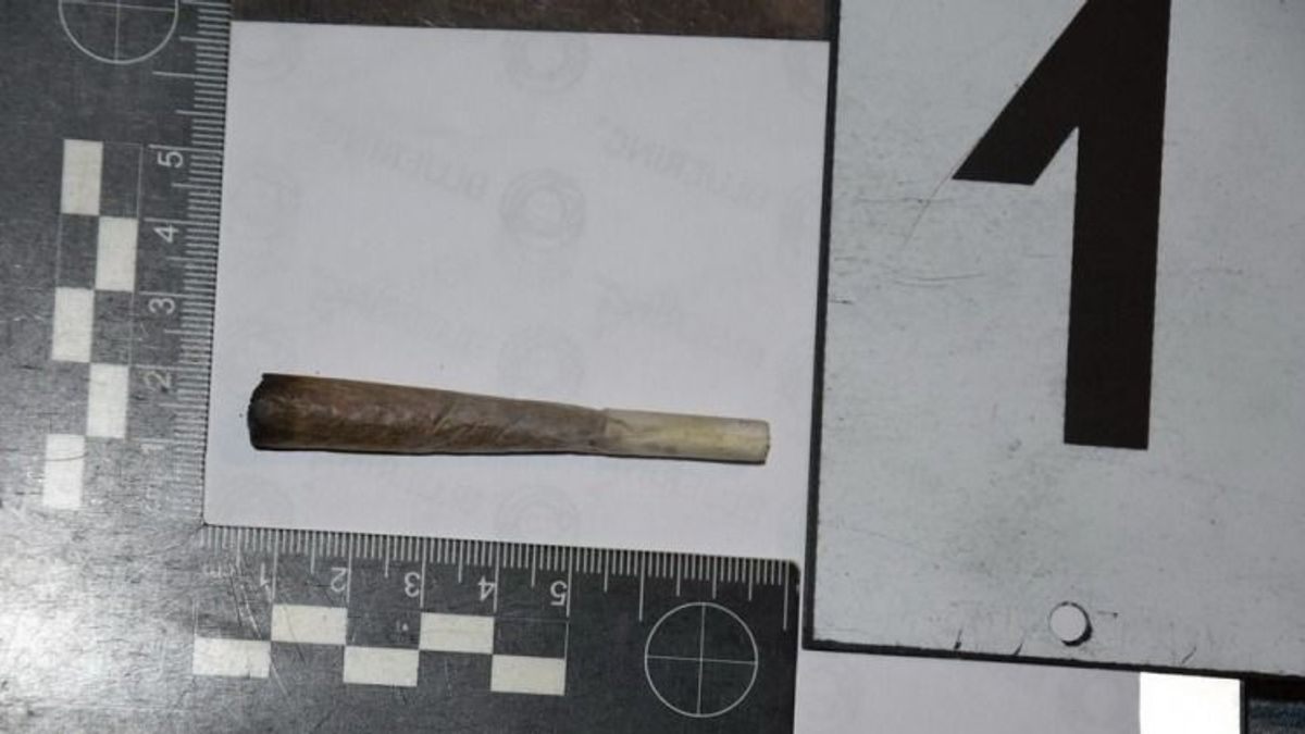 Marihuánaszag terjengett a veszprémi szórakozóhely előtt, fiatal párt vittek el a rendőrök