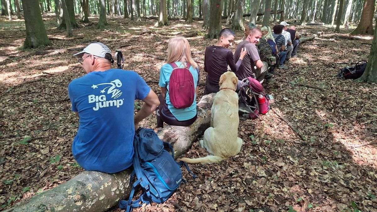 Mintha Indiana Jones-filmben járnánk: vadregényes bakonyi túraútvonalakat mutatunk + fotók