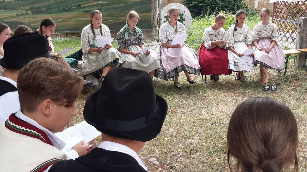 Határon túliak pörgetik fel a magas-bakonyi táncos műsorokat, ingyenes programokat (+ képek)