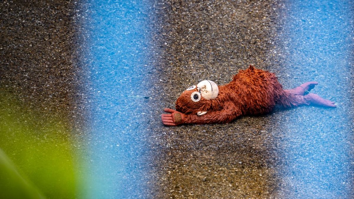 Plüss orángutánba kapaszkodva hódította meg a világot, most születésnapját ünnepli a világhírű kismajom
