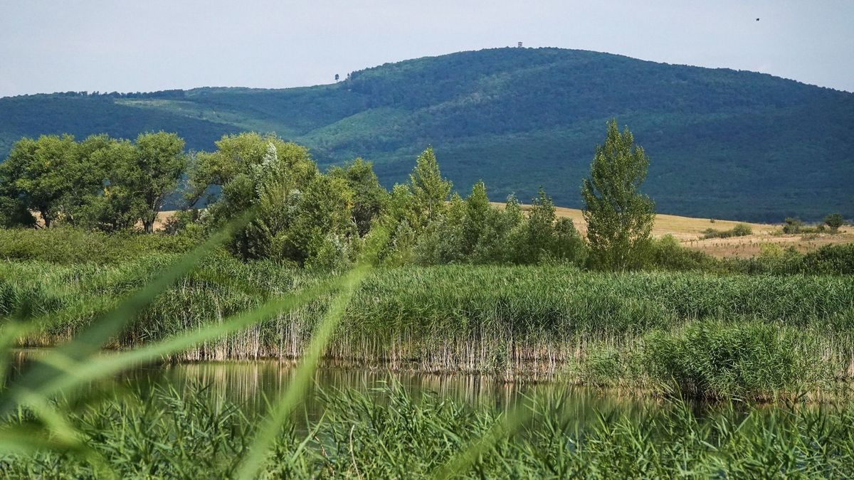Kedden már felhők zavarhatják meg a napsütést