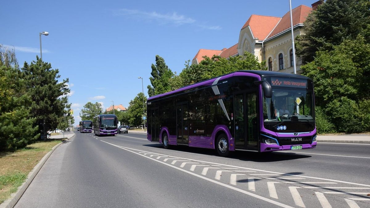 A tűz miatt változik a buszok közlekedése Gyulafirátóton