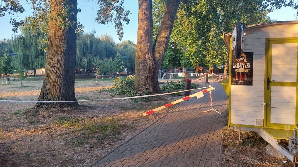 Korhadt faág zuhant a strandolók közé, egy nőt kórházba kellett szállítani +fotók