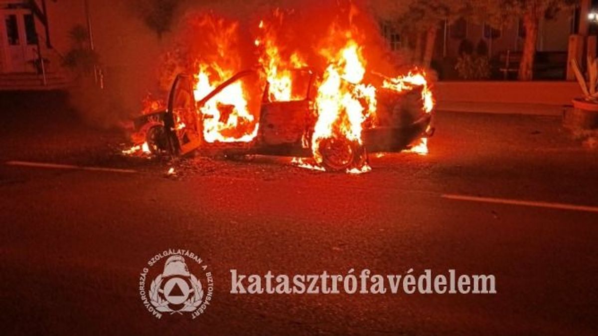 Balesetek után autótűznél és vasúti vadgázolásnál is helytálltak tűzoltóink (+fotók)