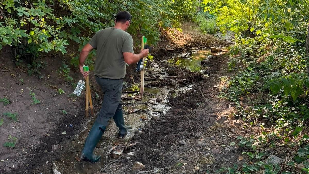 Biztatóak az első eredmények: egyre kevesebb vaddisznó jelenik meg Balatonalmádiban