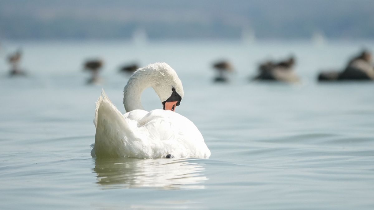 Strandolni mennél hétvégén? Mutatjuk, milyen idő vár a Balatonnál
