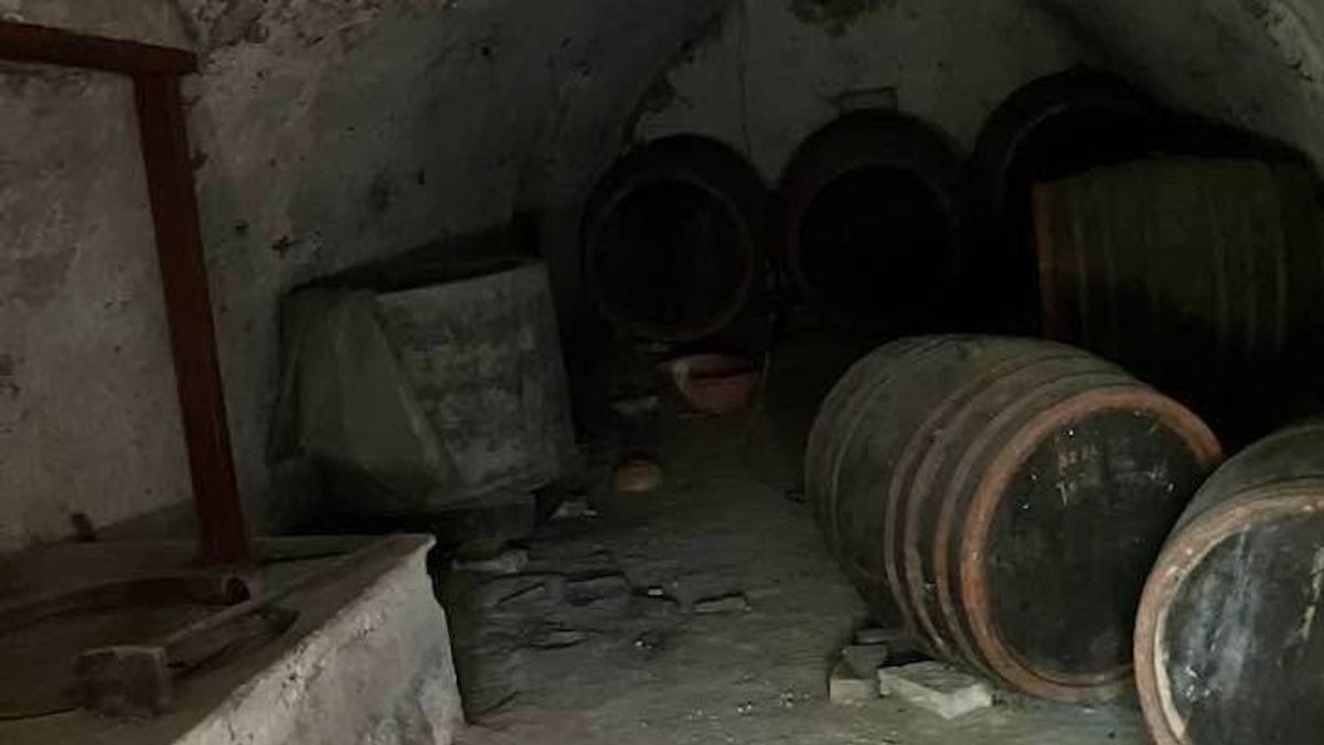 Megállt az idő ebben a magára hagyott Balaton-felvidéki pincében (galéria)
