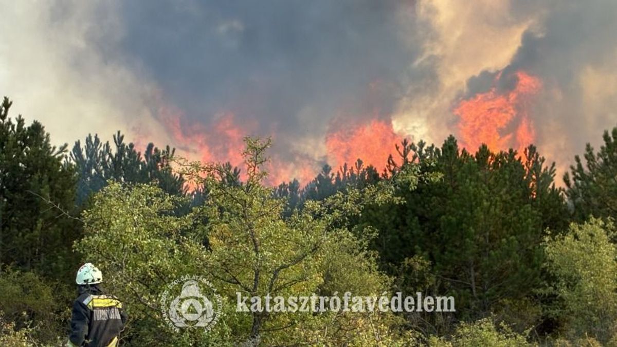 Minden bokorra jutott két civil – így fogott össze Gyulafirátót a tűzvésznél (+ fotók, videók)