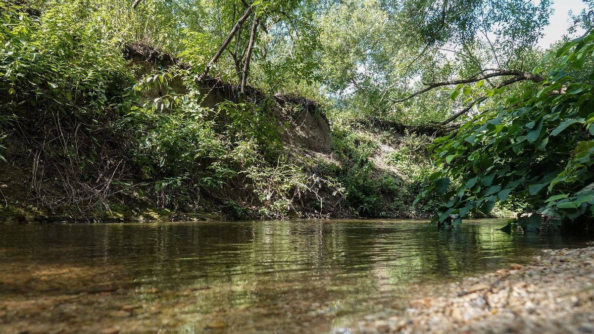 Pénteken még 30 fok körül alakul a hőmérséklet, vasárnap már 34 fok is lehet Veszprémben