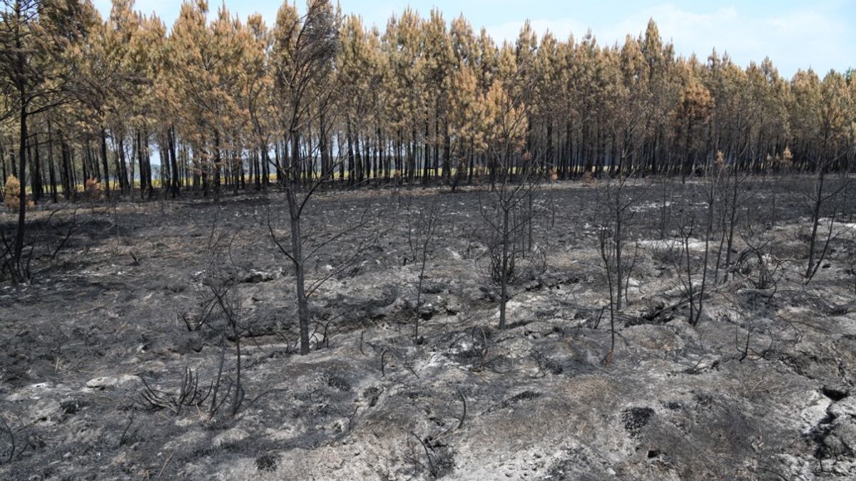 Európát letarolja a hőség: 180 milliárd eurót égethet el a forró nyár + videó