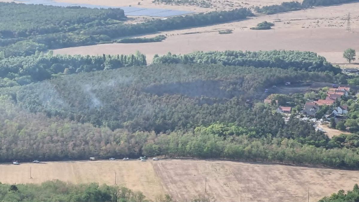 105 tűzoltó és önkéntes küzdött a lángokkal, körülhatárolták a területet (+ friss fotók, videó)