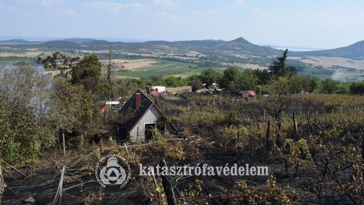 Egymást érték a riasztások, hat hektáron küzdöttek a lángokkal a tűzoltók (galéria)