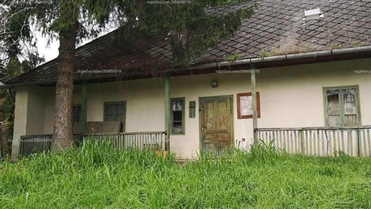 5 mesebeli bakonyi ház, amelyben a nyugalom az ajándék, a bűbájos romantika a ráadás (képek)