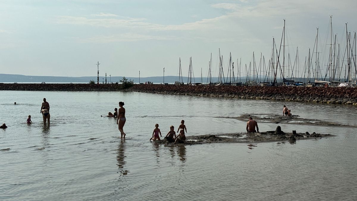 Döbbenetes látvány fogadta a strandolókat a Club Aligánál (galéria + videó)