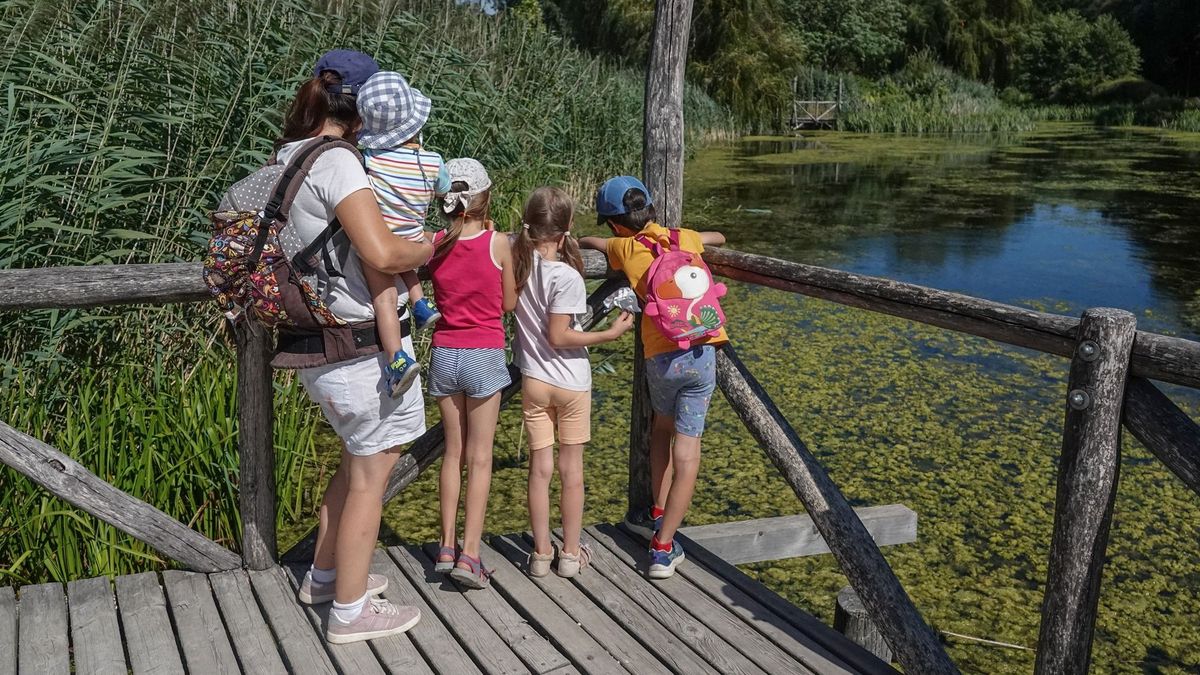 Nem a gondozatlanság jele: új szemlélet formálja Veszprém zöldfelületeit (galéria)