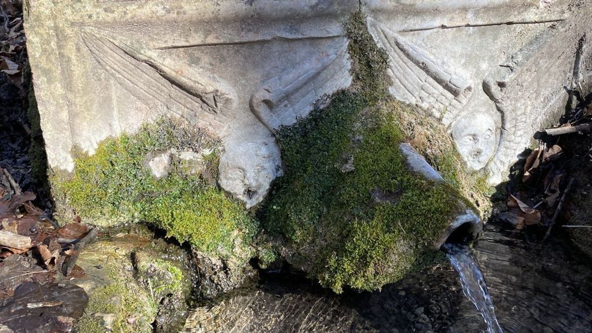 5 rejtélyes bakonyi kirándulóhely a nyár utolsó hétvégéjére, könnyű túrák színes erdőkben (képek)