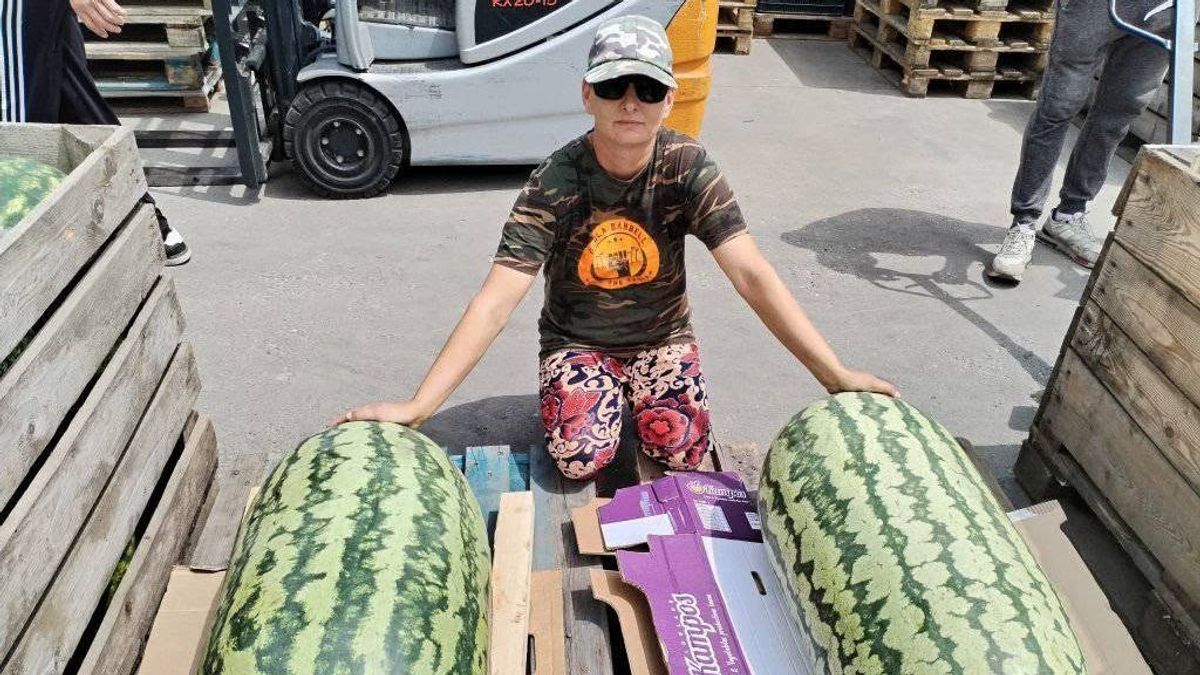 Ekkora görögdinnyét ritkán látni, Balatonalmádiban most bárki megcsodálhatja (videó)