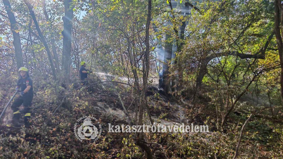Életveszélyes helyzetben vetik be a magyar tűzoltókat a szerbiai tűznél (galéria)