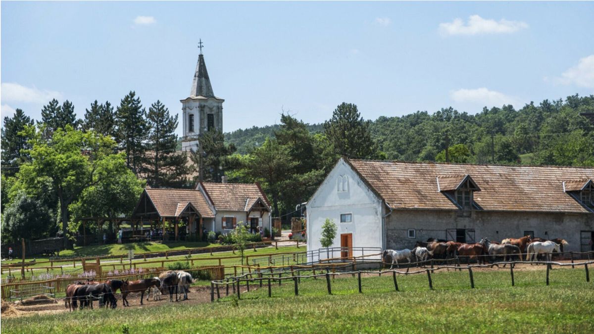 Három különleges programot is kínál a Balaton-felvidéki Nemzeti Park a hosszú hétvégén