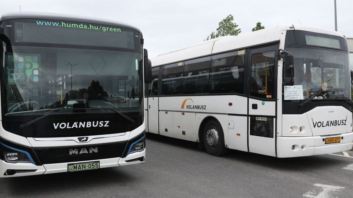 41 fok volt a Veszprémbe tartó buszon