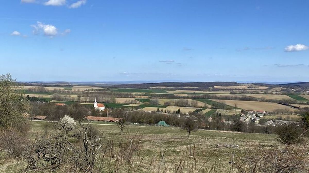 Kalandpark kihívásai a krumpli bakonyi fővárosában, gombócokkal, ingyenes fesztivállal