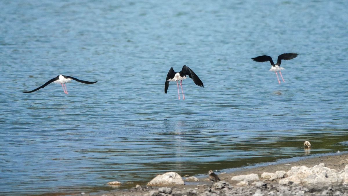 Folyamatosan csökken a Balaton vízszintje, június óta 30 centiméterrel lett alacsonyabb