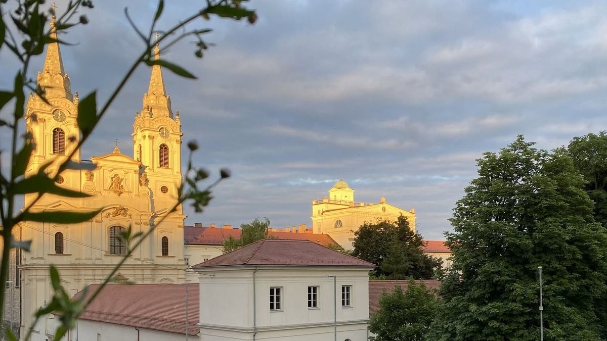 Egyszeri és egyedi ingyenes lehetőségek a bakonyi hosszú hétvégén: kincskeresés, zeneerdő, beatbuli