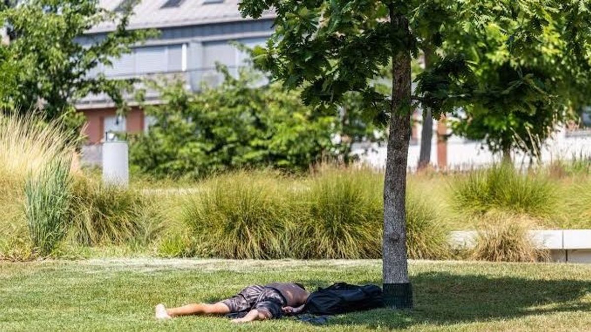 Döbbenetes hőtérképet tettek közzé Veszprémről a Pannon Egyetem kutatói