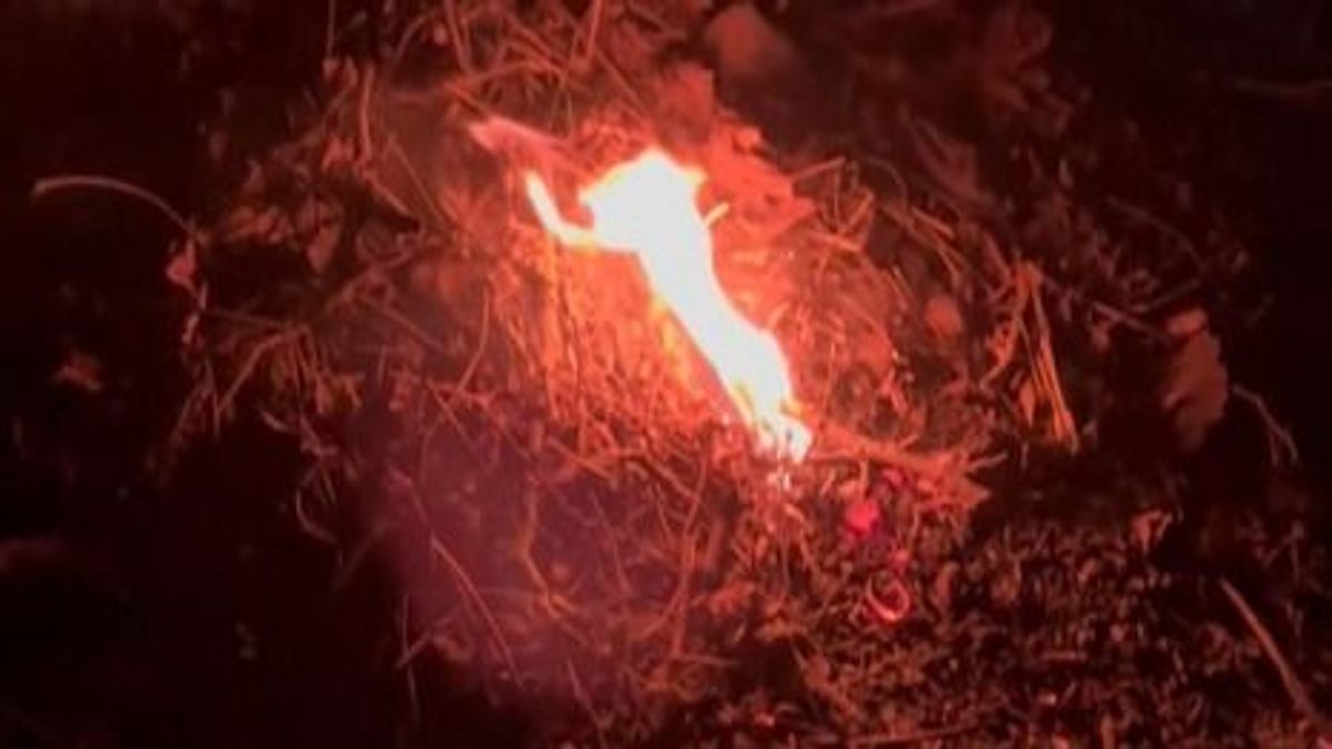 Kis híján nagy baj lett: őrizetlenül égett a zöldhulladék Lovasnál (videó)