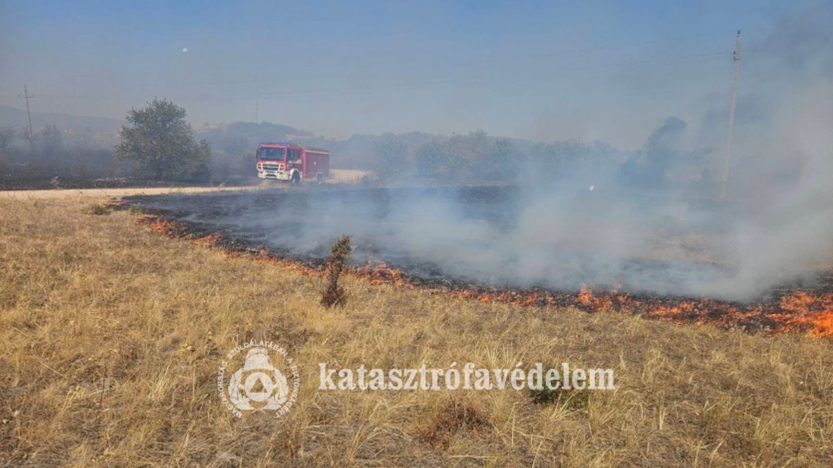 Hetvenkét órája dolgoznak a tűzoltók, most újabb izzó gócok adnak munkát Sóly és Öskü között