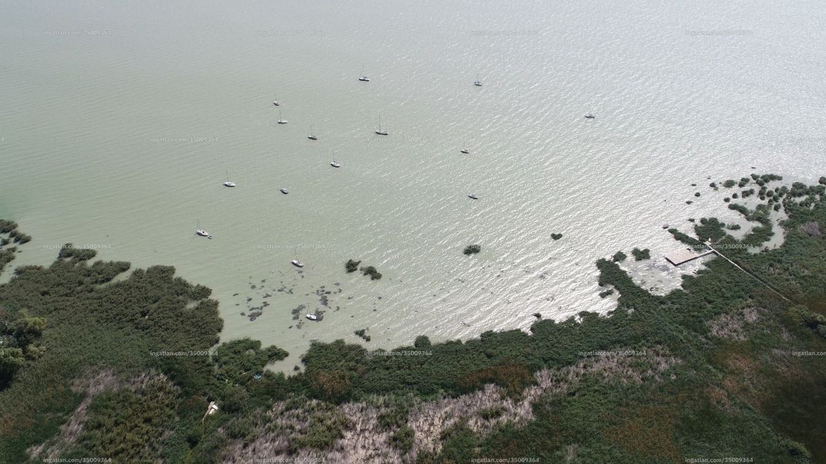 Lakópark a védett vízparton? Közel egyhektáros Natura 2000-es telek eladó a Balatonnál (galéria)