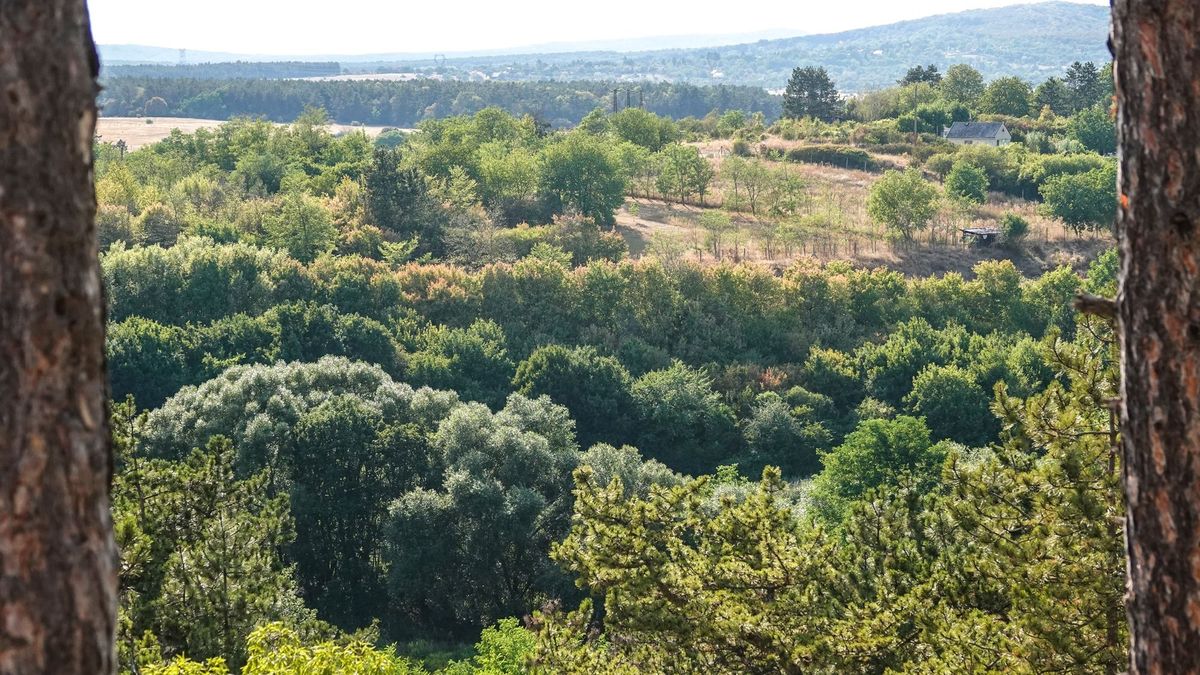 Munka után is nekivághat ennek a túrának, pazar bakonyi kilátás lesz a jutalma (+fotók, videó)