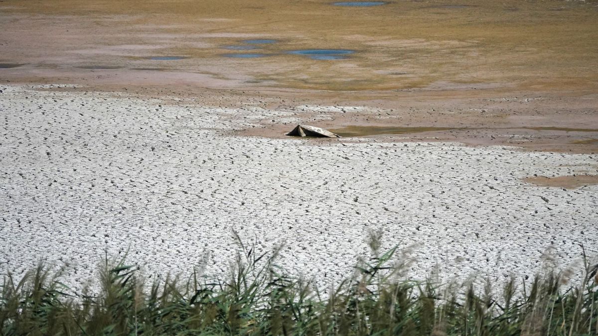 Újabb 2 centimétert apadt a Balaton, durván alacsony a vízszint