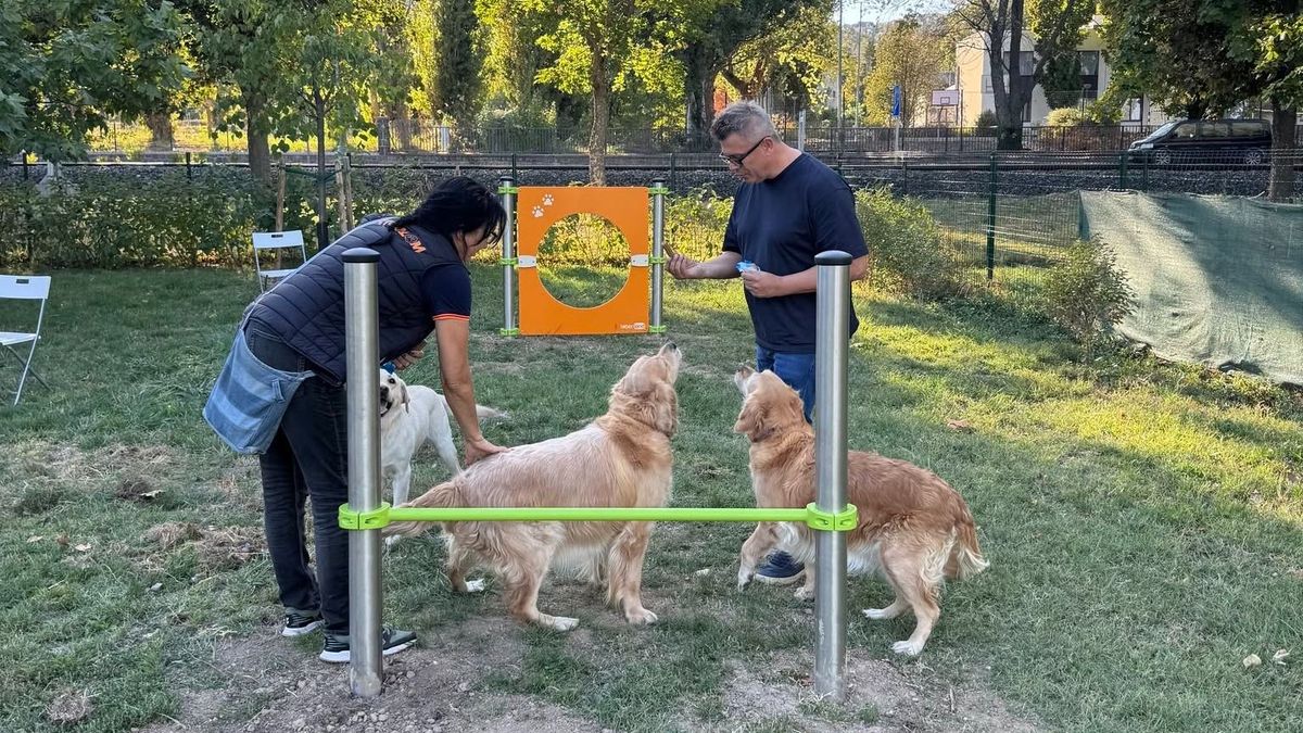 Új agility eszközökkel bővült ez a Veszprém megyei kutyafuttató – libikóka, lyukasfal és szlalompálya is várja a négylábúakat