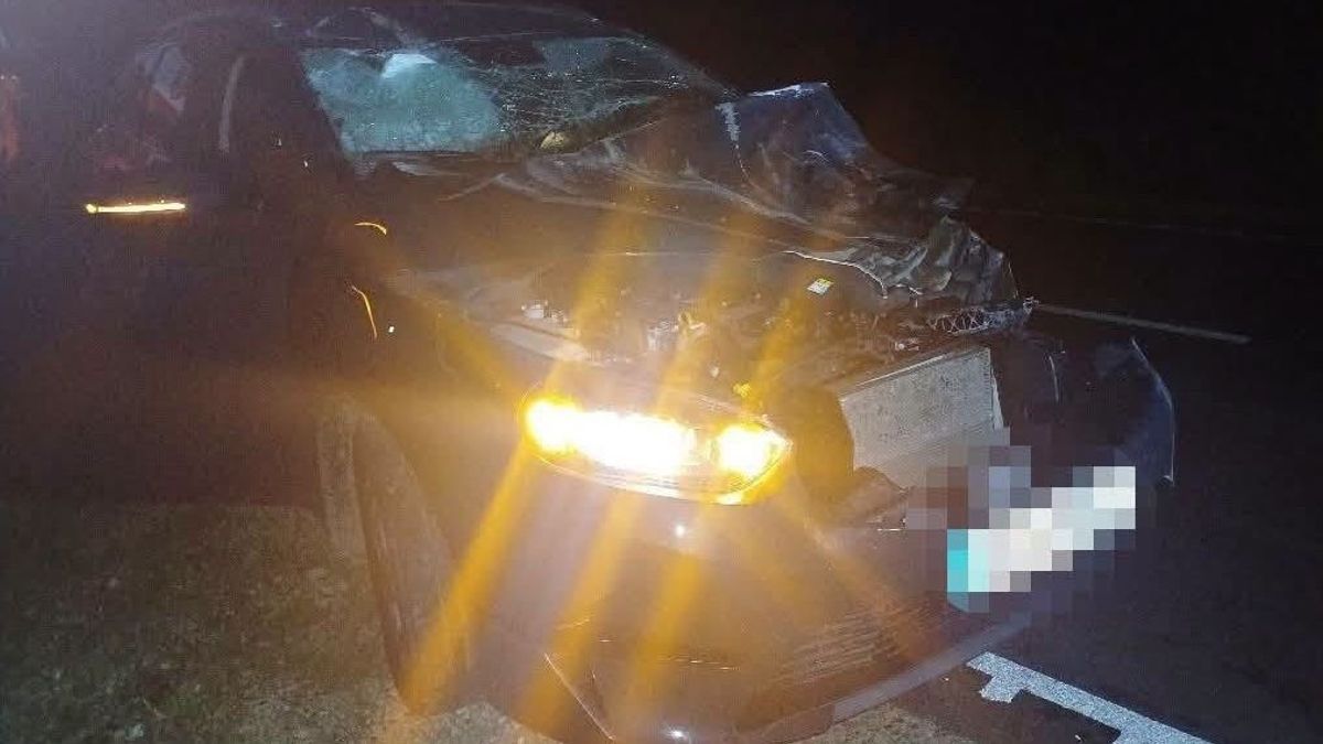 Óvatosan az utakon, még tart a szarvasok párzási időszaka! (+ fotók)