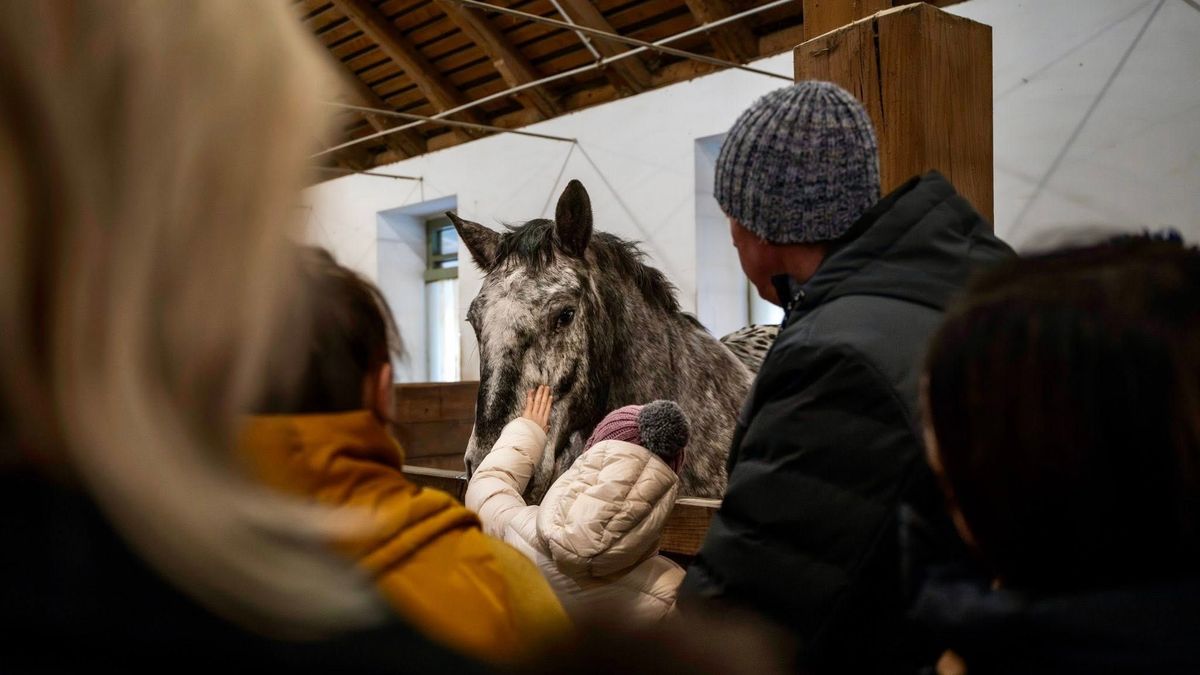 Ünnepeld az állatok világnapját a lovak bakonyi paradicsomában, remek ingyenes programon! (galéria)