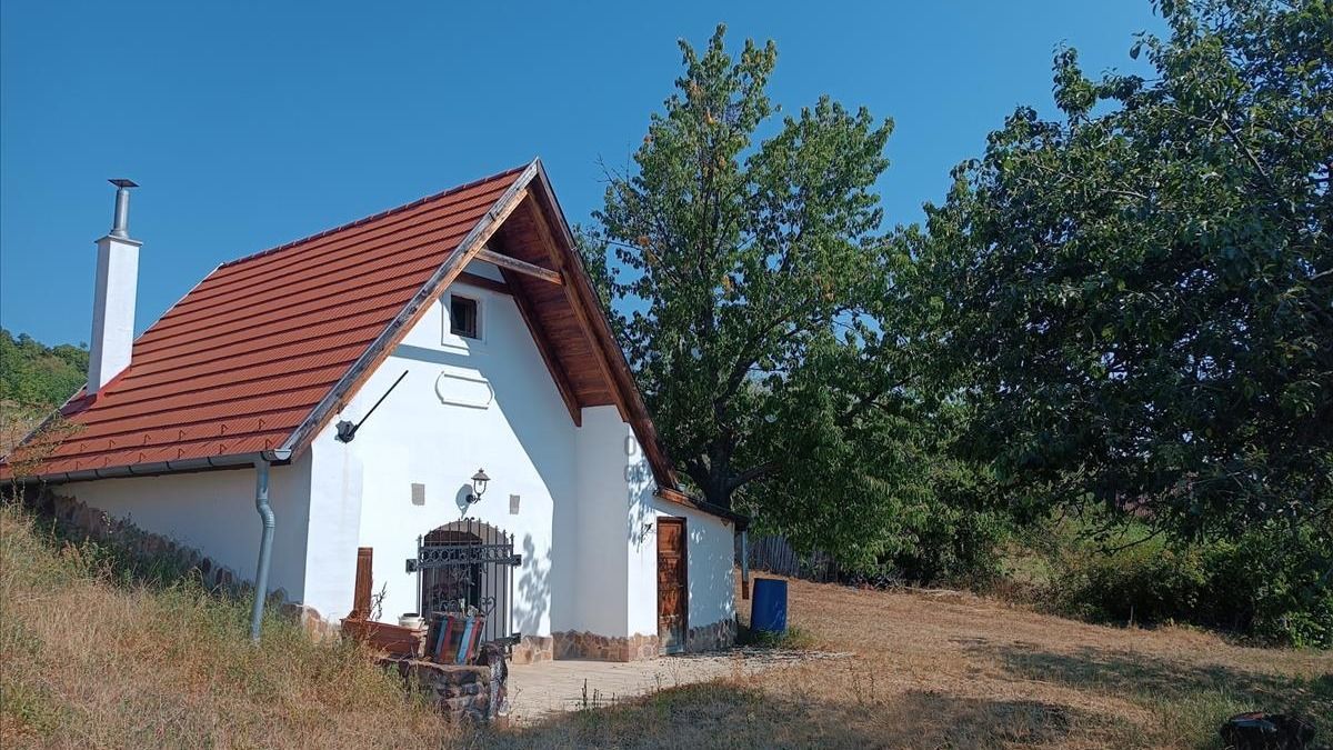 160 éves présházat árulnak a Balatonnál, egy panel áráért még a mestergerenda is jár hozzá (fotók)