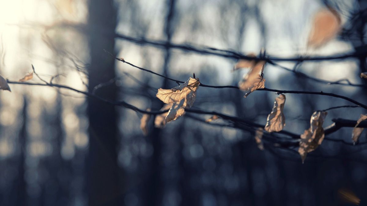 15 fokot ugrik a hőmérséklet csütörtökön