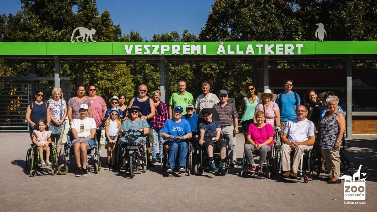 Ingyen látogathatják az állatkertet a kerekesszékkel közlekedők szeptember 13-án
