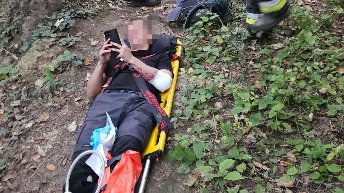 Lezuhant egy túrázó a Bakonyban, tűzoltók mentették ki az erdőből