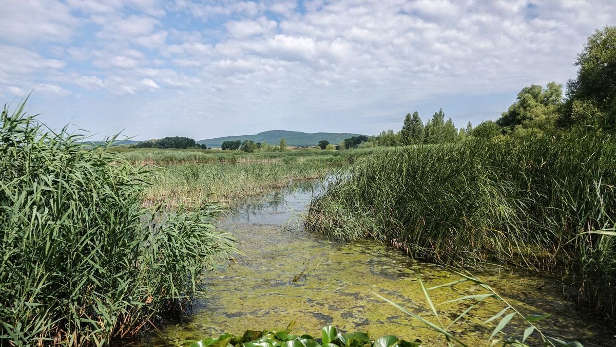 Élénk északnyugati szél érkezik csütörtökön Veszprémbe