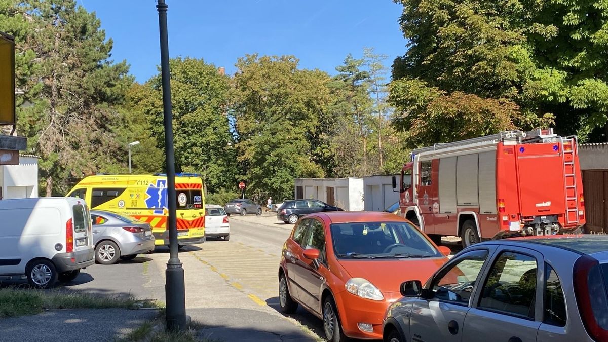Tűzoltók és mentők vonultak a veszprémi utcába, egy idős nőt vittek kórházba (+ fotók)