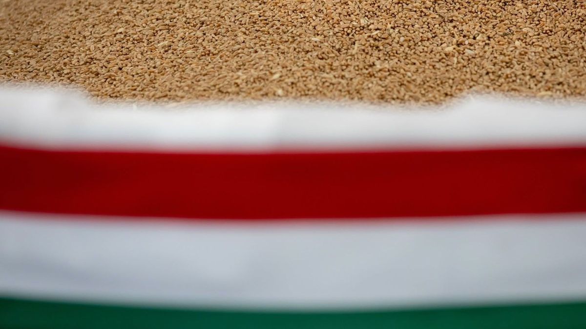 Magyarok Kenyere program: a kovász Bács-Kiskunból, a só Parajdról, a víz a Fekete-Tiszából érkezett