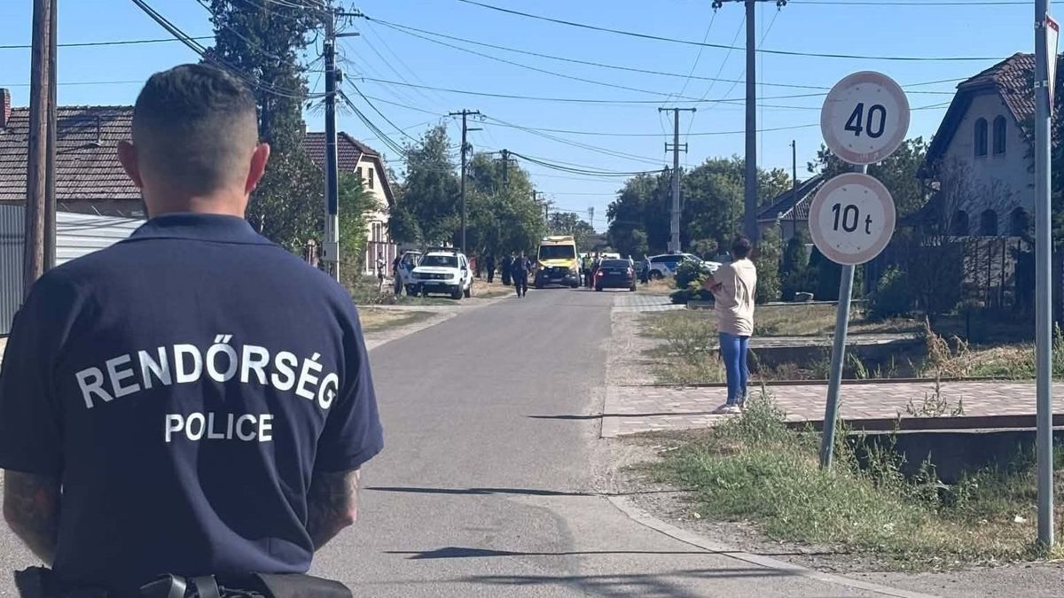Féltékenységből foghatott baltát az Abonyban lábon lőtt férfi