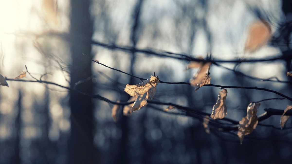 Veszprémi időjárás: alaposan bekeményít az ősz, ez vár ránk pénteken