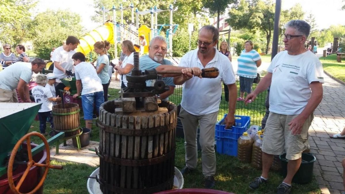 Arácsi Szüret közös szőlőfeldolgozással és gyermekműsorral