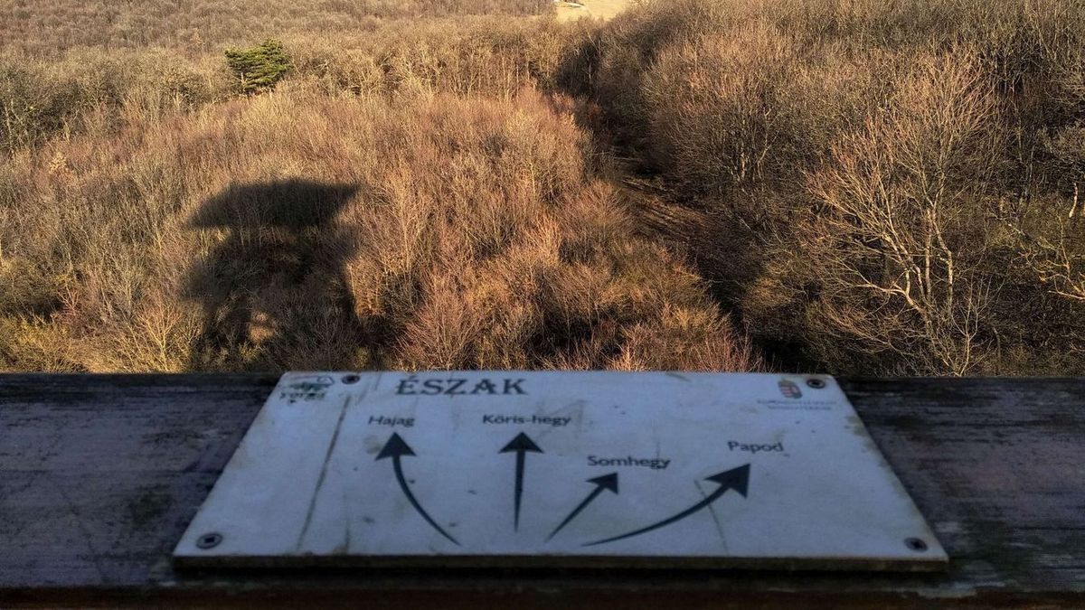 Merre tovább? Újabb bakonyi kilátók sorsa pecsételődött meg végleg (képek)