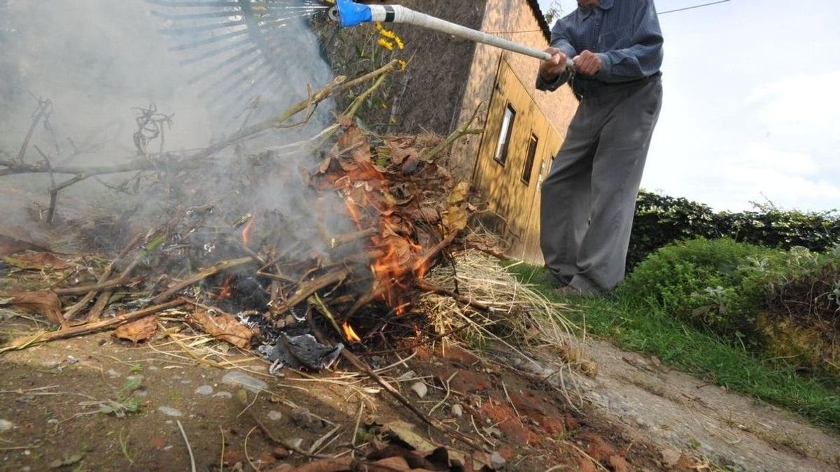 Félelmetes felelőtlenség történt egy bakonyi kertben, elég volt hozzá egy óvatlan mozdulat